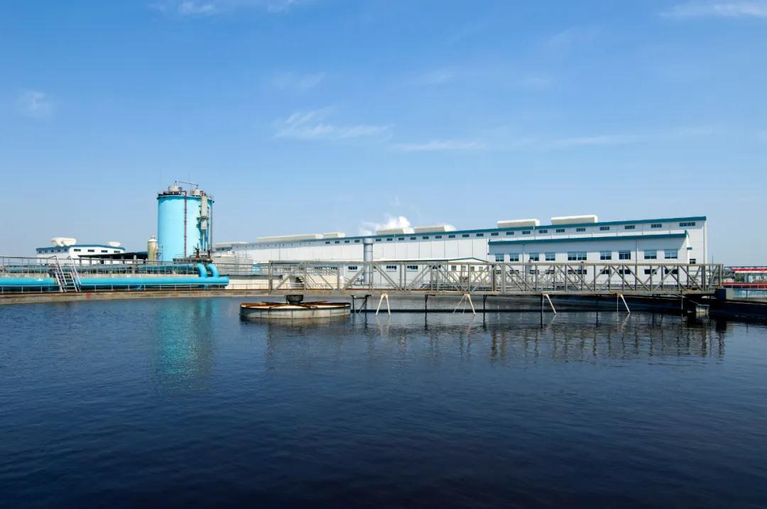 仙鶴股份有限公司官方網站 仙鶴股份有限公司官方網站